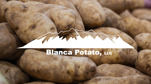 Delivering Efficiency and Reliability for Blanca Potato